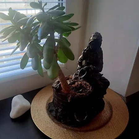 Lovely Flat In A Great Location * Kosice